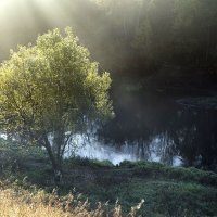 Пейзаж осеннего утра :: Сергей Сомихин