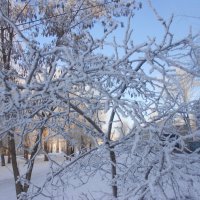 март :: Елена Шаламова