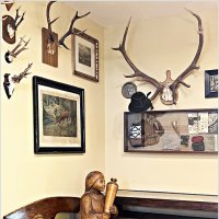 Экспонаты музея. :: Валерия Комова Экспонаты музея. :: Валерия Комова