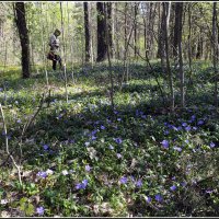 Весна :: Aleksandr Gal