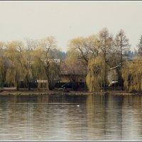 Весна :: Aleksandr Gal