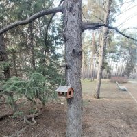 Ботанический сад. :: Murat Bukaev 