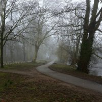 Туманный февраль :: Юрий. Шмаков