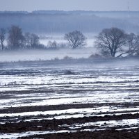 Ещё в полях белеет снег. :: Алексей Окунеев