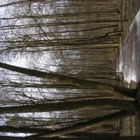 Ранняя весна 5 :: Анна Воробьева