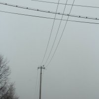 Апрельская диагональ :: Елена Минина Апрельская диагональ :: Елена Минина