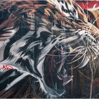 *** :: someone somewere