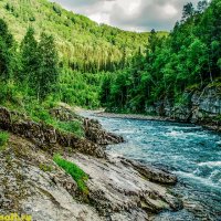 ТАЕЖНЫЕ РЕКИ :: HART BAD