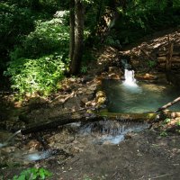 Купель :: Владимир Гришин Купель :: Владимир Гришин