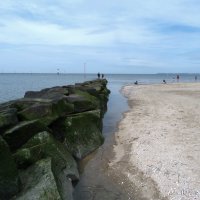 На берегу Ла-Манша :: Мишель71 
