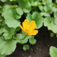 ... :: Сергей Тимоновский