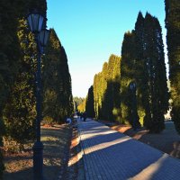 Аллея в Долине Роз :: Мишель71 