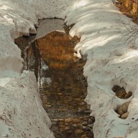 Весна пришла :: Леонид leo