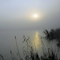 Весеннее утро. :: Владимир 