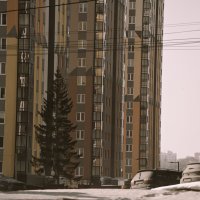 Случайно уцелевшее :: Сергей Сергеев Случайно уцелевшее :: Сергей Сергеев