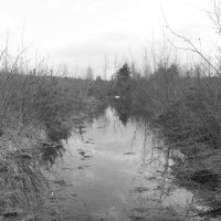 Мечты о ч/б Лейке 89. :: Михаил Елочкин