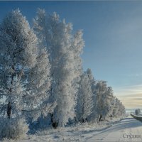 Морозной дорогой :: Студия фотографии
