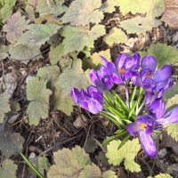 ***скромные"" :: Olga Oskolkova ***скромные"" :: Olga Oskolkova