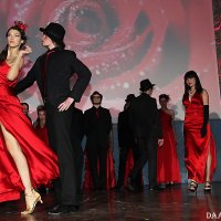 КРАСНОЕ И ЧЁРНОЕ :: Александр Дмитриев