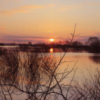 ....... :: Вадим Виловатый