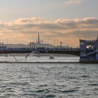 Галатский мост :: skijumper Иванов