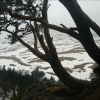 Ранняя весна! :: Надежда Ранняя весна! :: Надежда