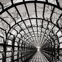 Петергоф. Верхний сад. Берсо :: Наталья Герасимова