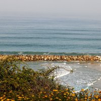 Волнолом. :: Argaman Табашник