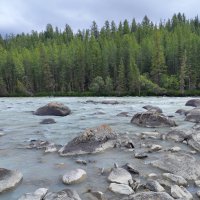 Камни в реке Аргут :: Галина Козлова Камни в реке Аргут :: Галина Козлова