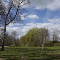 Апрельские зарисовки... :: Галина 