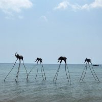 По морю слонов водили :: Александр 