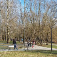 Пргулки в Весеннем Парке :: юрий поляков Пргулки в Весеннем Парке :: юрий поляков