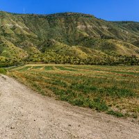 Ретранслятор :: Eugene *