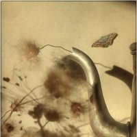 *** :: Oleg Rastorguev