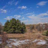 Палитра апреля... :: Владимир Жданов