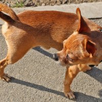 Я обернулся посмотреть. не обернулась ли ты... :: Светлана Я обернулся посмотреть. не обернулась ли ты... :: Светлана