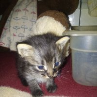 Познаю мир :: Сергей Кочнев