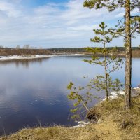 Весна :: Галина Новинская Весна :: Галина Новинская