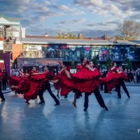 АРТ КВАДРАТ :: arkadii АРТ КВАДРАТ :: arkadii