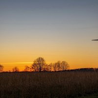 Пора спать... :: Николай Гирш Пора спать... :: Николай Гирш