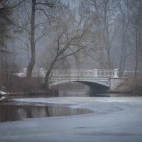 **** :: Елизавета .