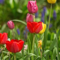 4144 :: Alex . 4144 :: Alex .