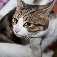 о чем задумался...? :: Aleksandr . о чем задумался...? :: Aleksandr .