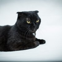 _ :: Тамара Федорова