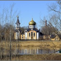 С Праздником Вербного Воскресения :: Aleksandr Gal