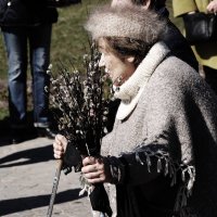 ВЕРБНОЕ :: Виктор Никитенко