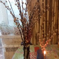 Всех с Вербным Воскресеньем! Счастья, мира и добра! :: Елена Семигина