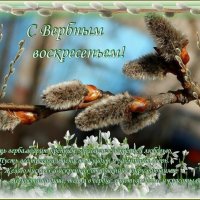 С Вербным воскресеньем! :: Валентина Надсон