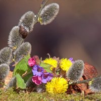 С Праздником! :: Вячеслав Минаев С Праздником! :: Вячеслав Минаев