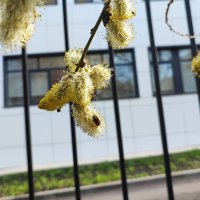 ,,, :: Сергей Тимоновский